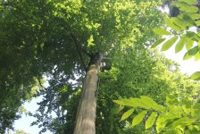 53_gc_stammtisch_17_20150506